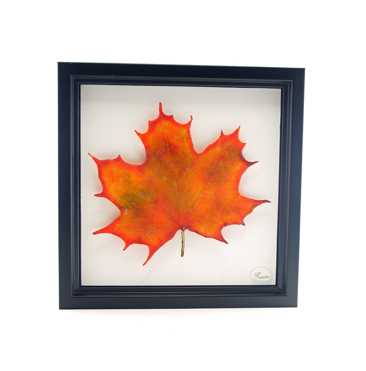 Majesté d'automne #5. Glass: 23.5 cm x 20.5 cm; frame: 30 cm x 30 cm. CAD 175. Available at Renc’Art, Quebec City