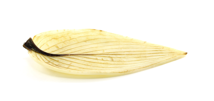 Offrande silencieuse #1 (sold at Renc’Art, Quebec City)