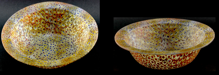 Bowl with rim (19.5 cm x 6.5 cm).